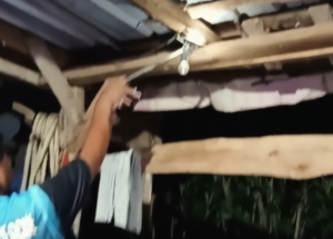 Ular Kobra Jawa Masuk Permukiman Warga di Ploso Pacitan, Tim Rescue Lakukan Evakuasi
